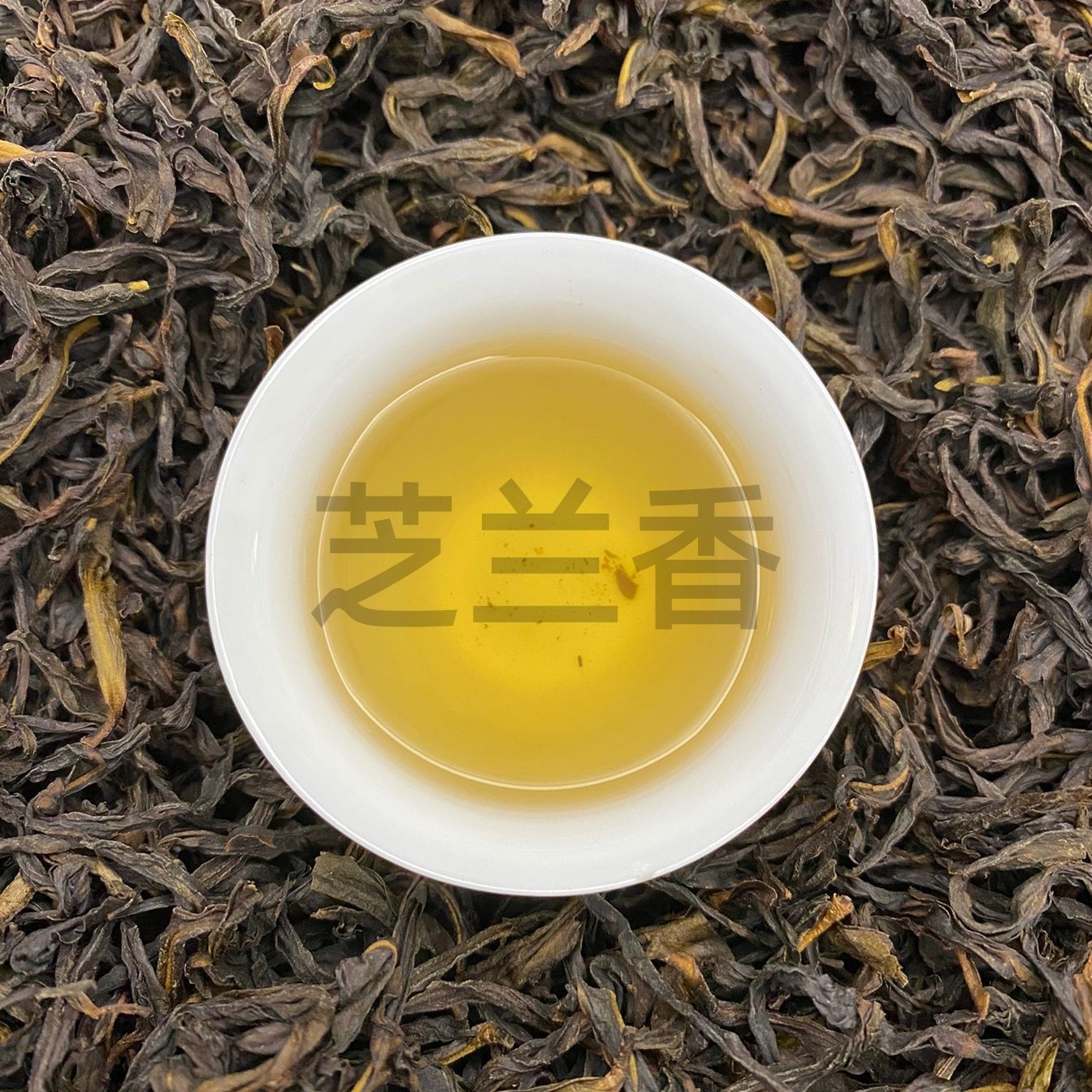 凤凰单枞芝兰香小高货潮汕功夫茶头春芝兰香清香型高香茶叶