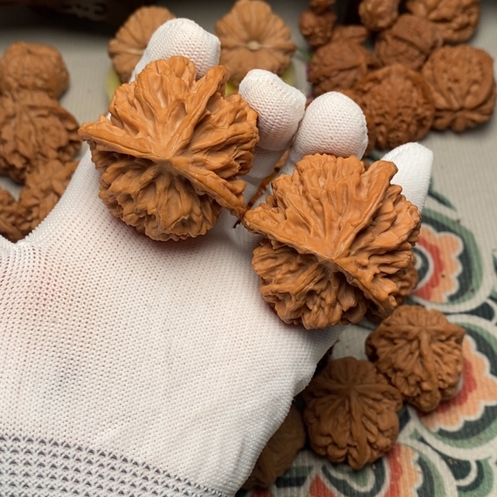 木质三棱异型48全品60克