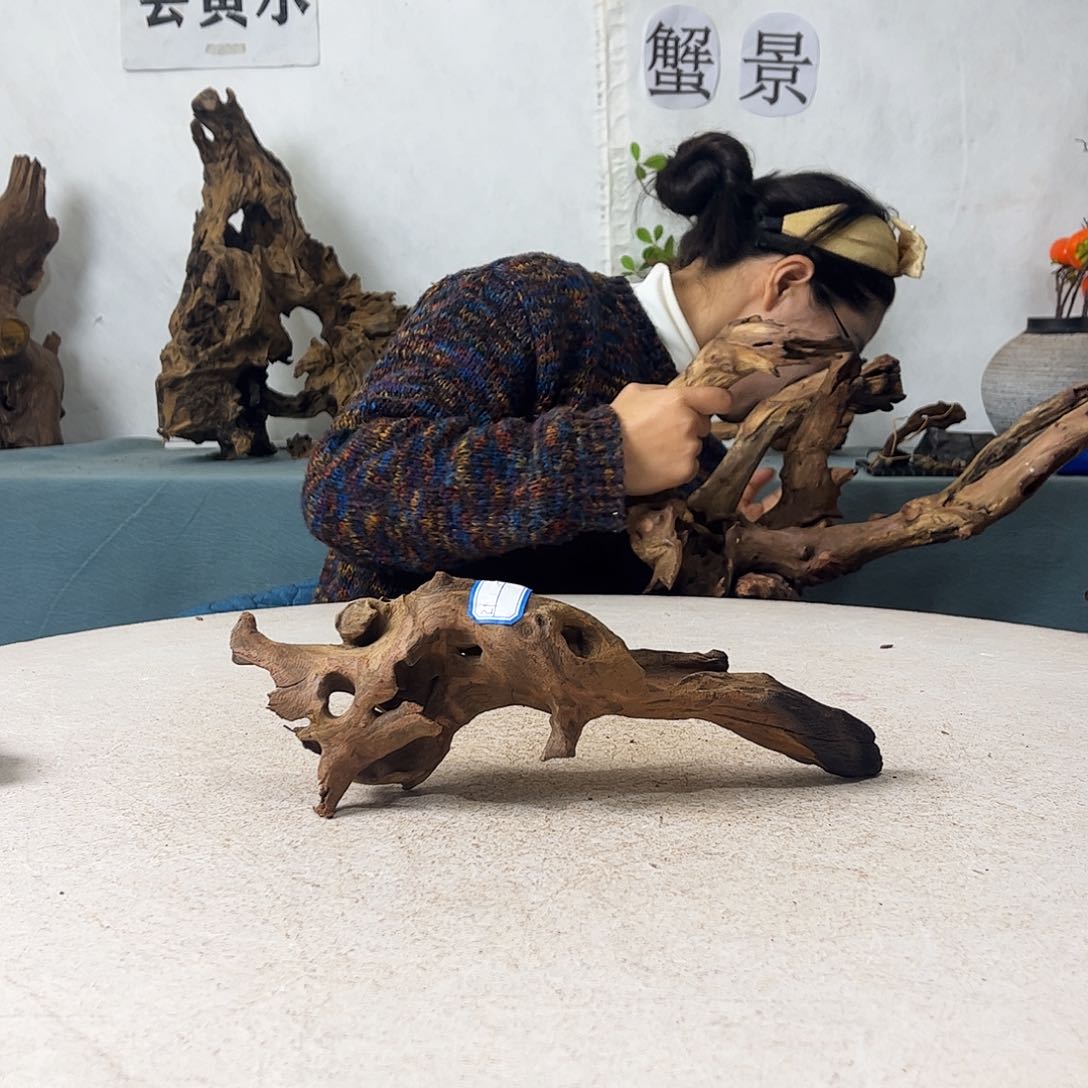 奶****。沉木造景爬宠造景