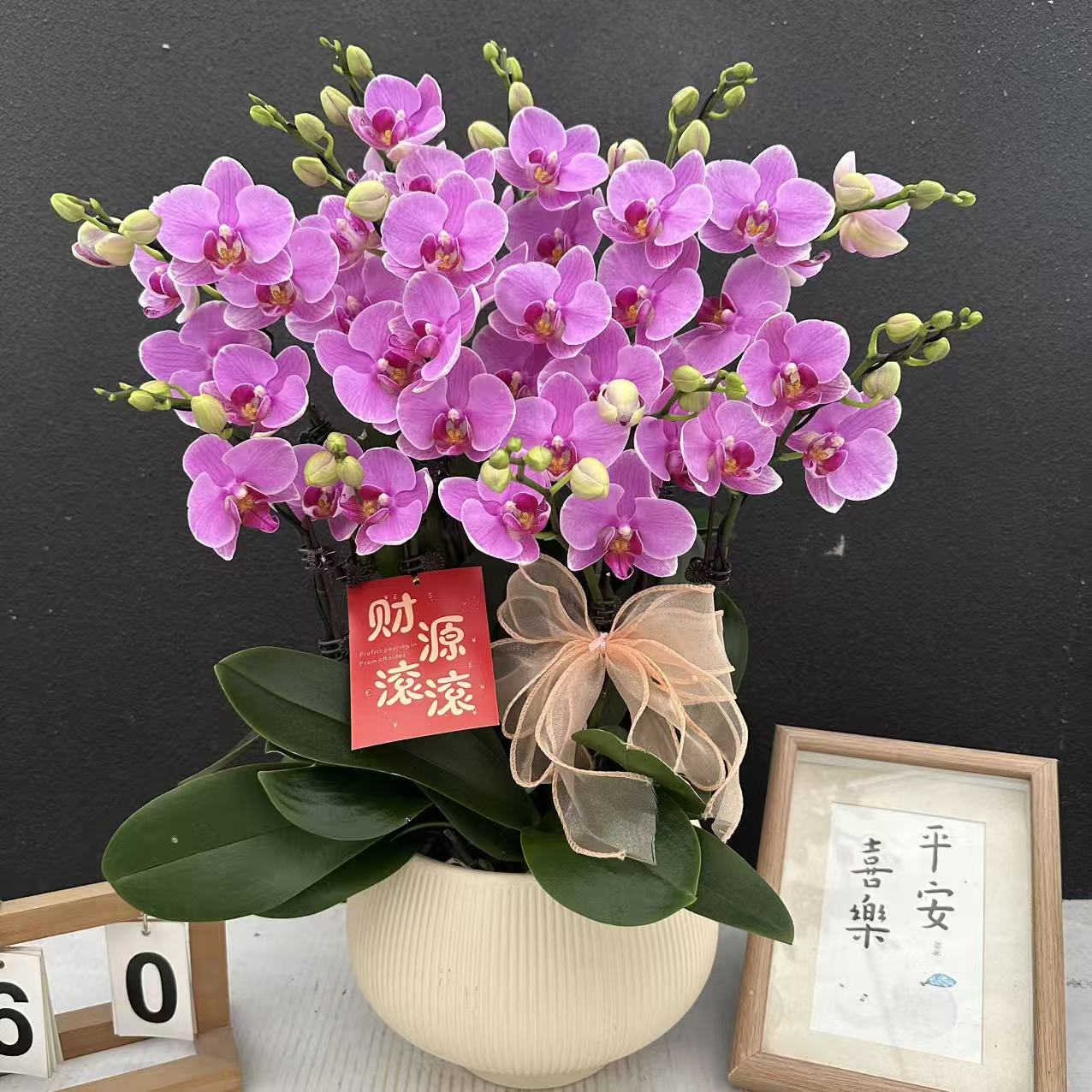 简香（紫蝶）高货蝴蝶兰精美艺术鲜花送人送礼鲜花花卉