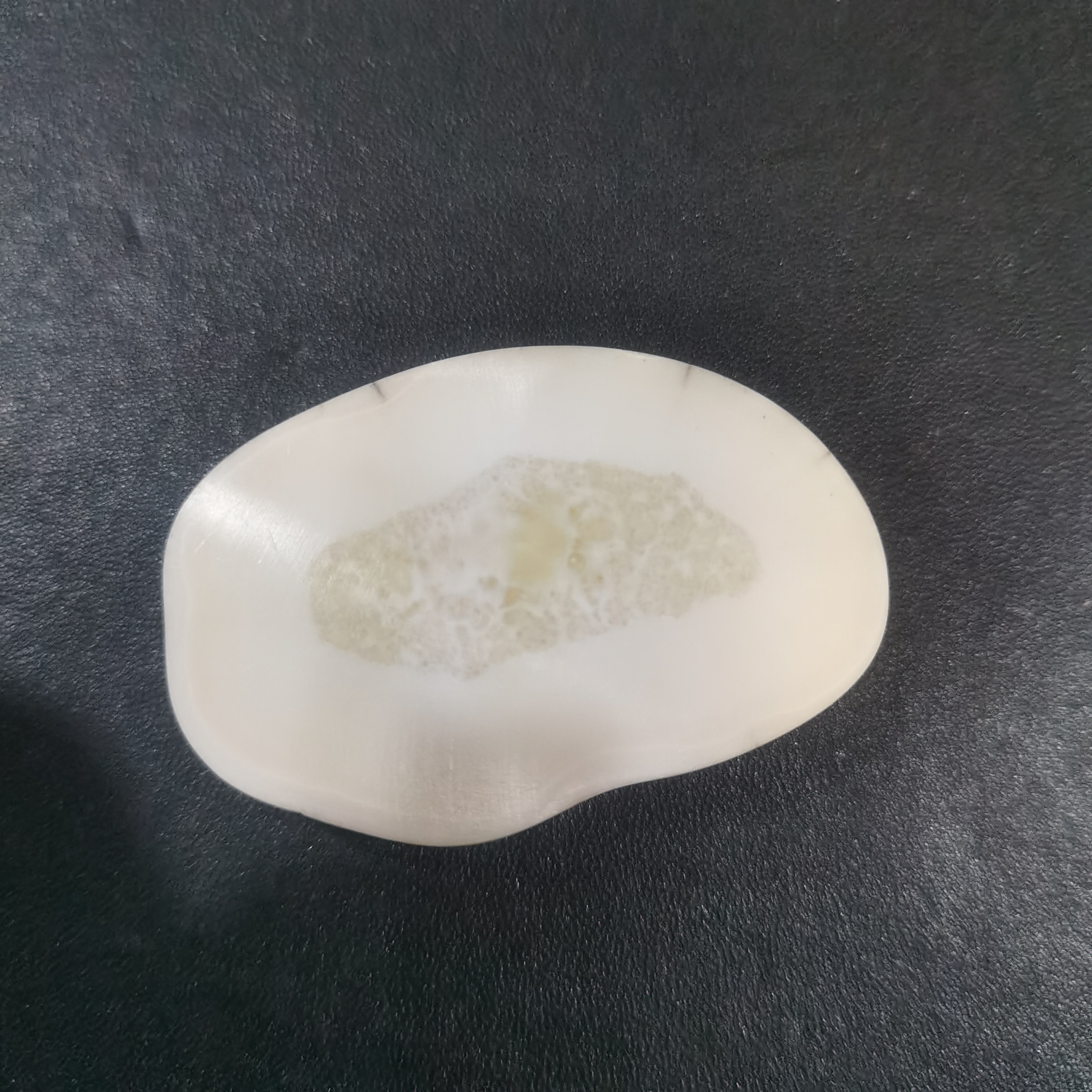 猛犸虬饼子kk749