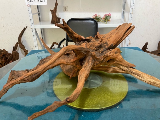 云南紫柚木天然沉木