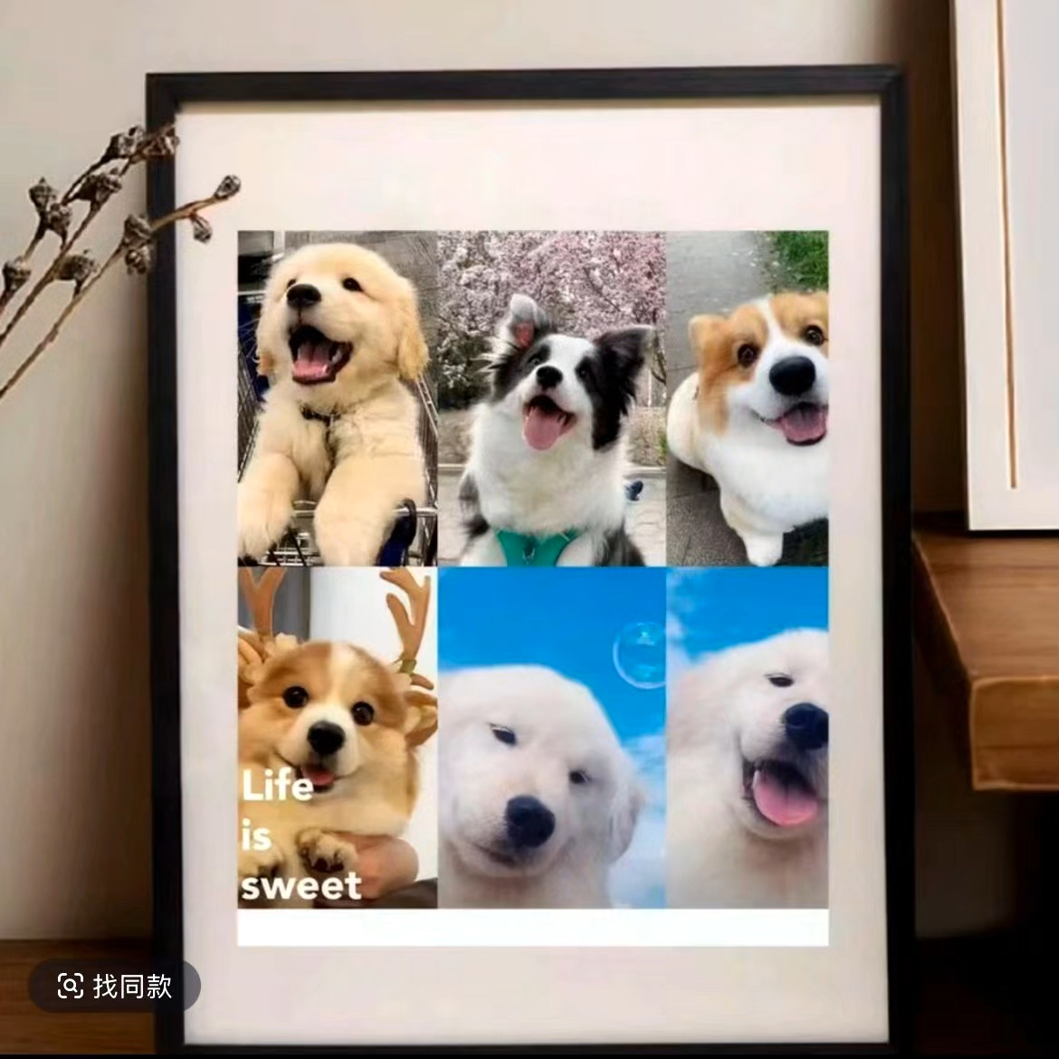 宠物精品相册制作