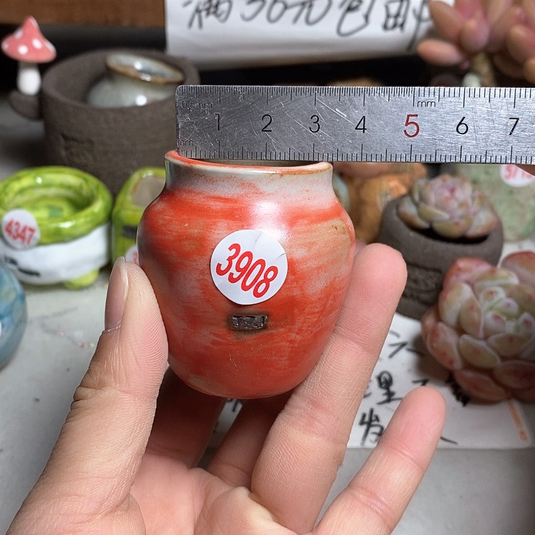 红陶拍5送一个小