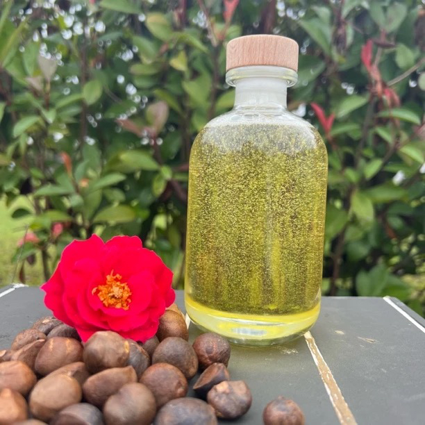 【发光老油】静姿正宗红花老茶油高山老茶油孕婴可用静