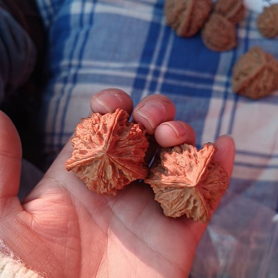 腾***码文玩核桃把件盘山文玩核桃三棱