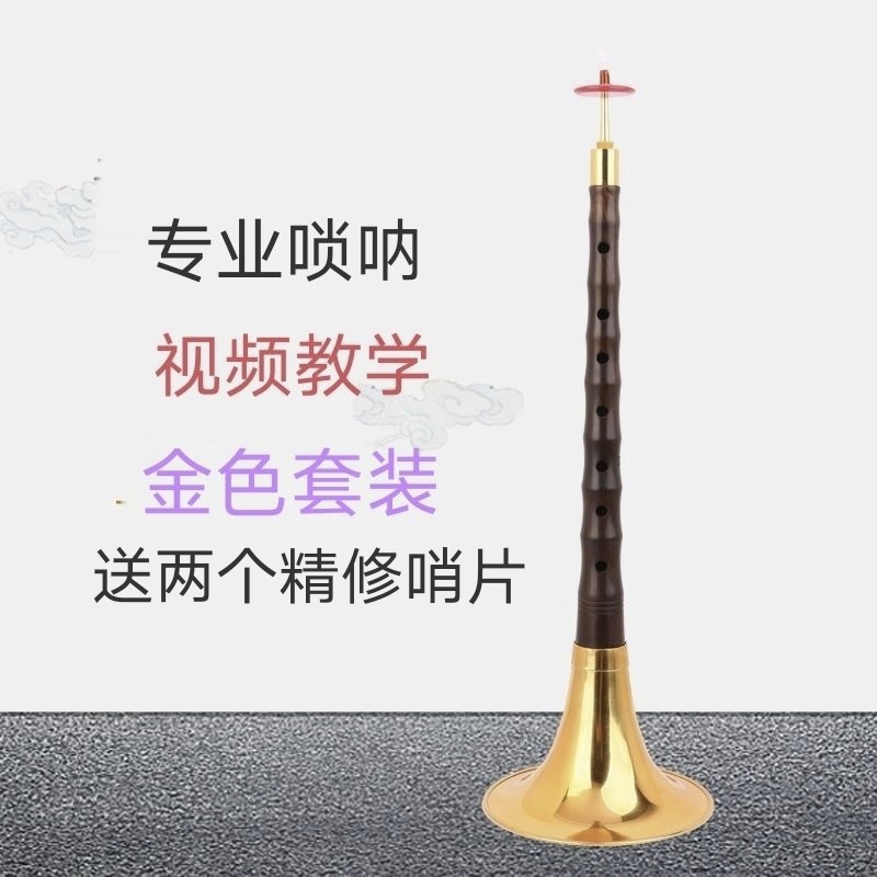 降B调紫光檀唢呐多种调式适合初学者专业演奏有课程指导