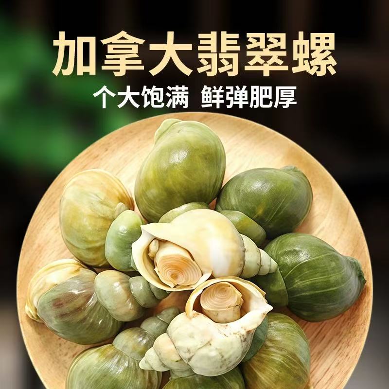 【渔夫海鲜】加拿大国宴翡翠螺 熟冻盐焗麻辣即食刺身酒醉250g