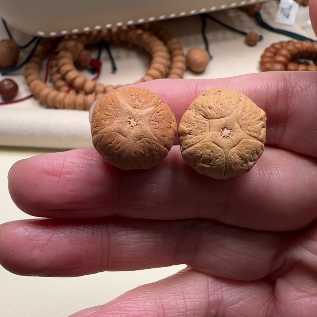 凤眼菩提吊坠16号五星