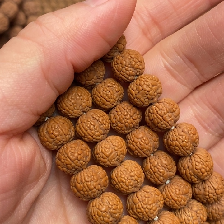 菩提柠*龙鳞小金刚