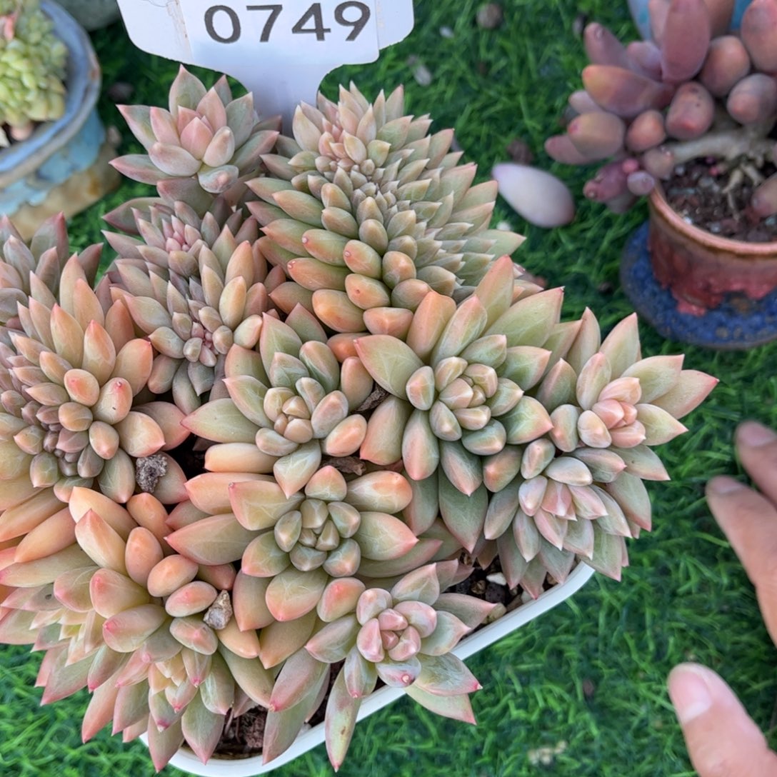 草***甜0749满30包邮天冷必拍保温箱