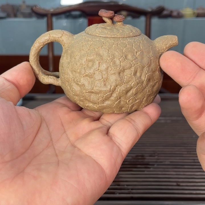 紫砂茶壶哈哈哈哈哈我真的好喜欢这个节目的