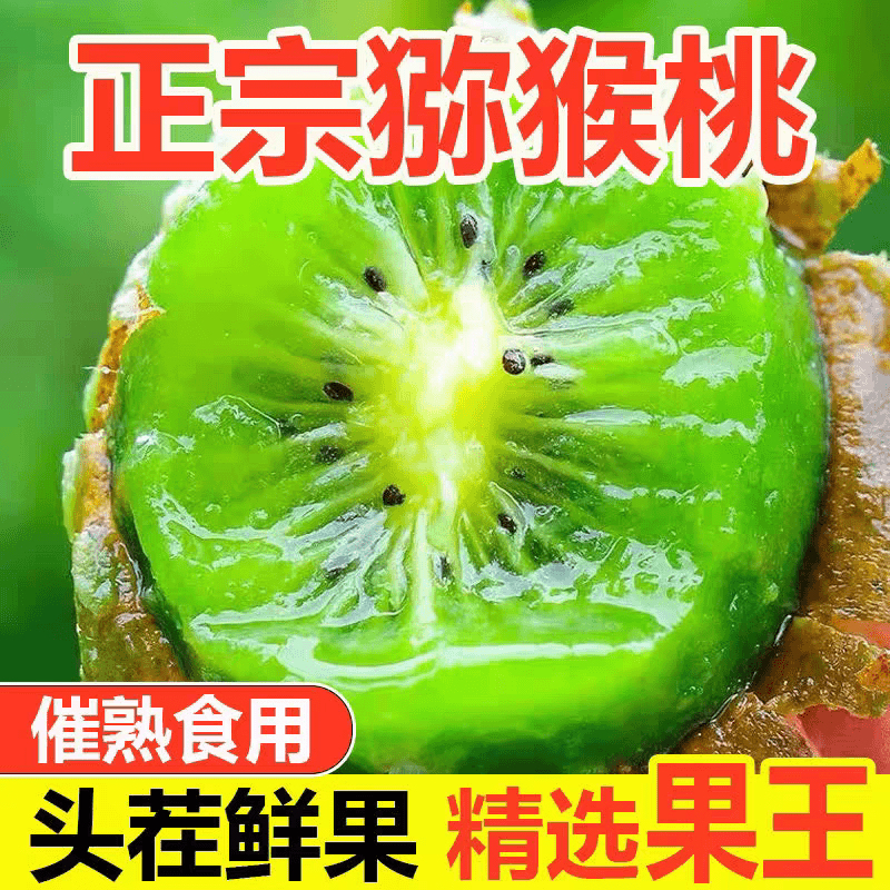 高山老树正宗绿心猕猴桃产地包邮头茬鲜果酸甜适口需催熟食用