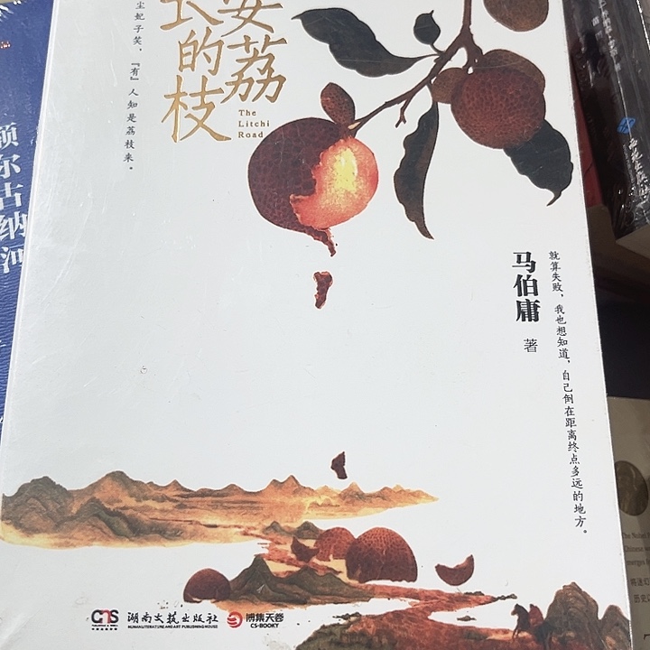 长安的荔枝全新推荐