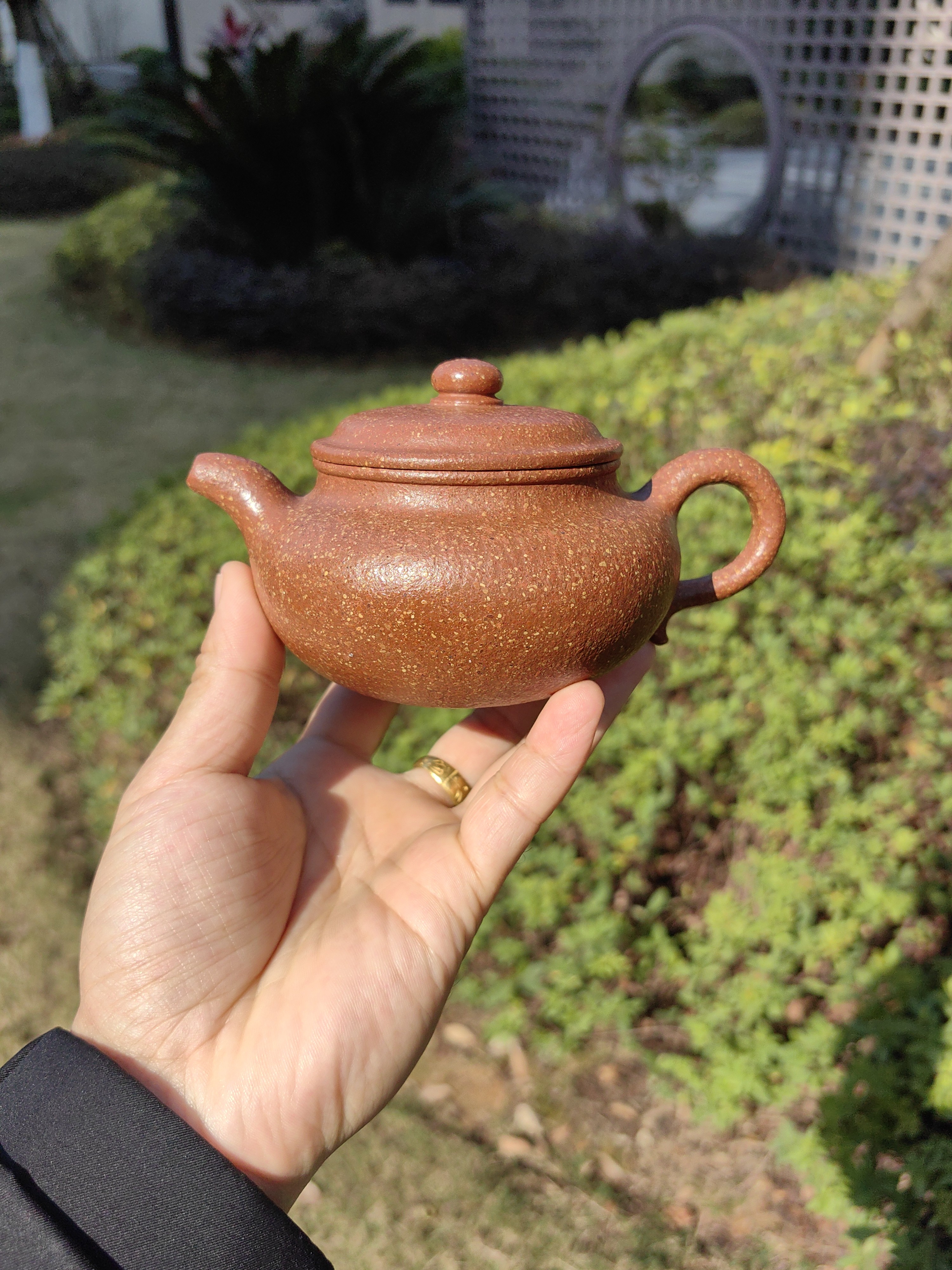 仿古壶 黄龙山共生矿海棠红 全手 沙粒粗矿色彩丰富 润度好240cc