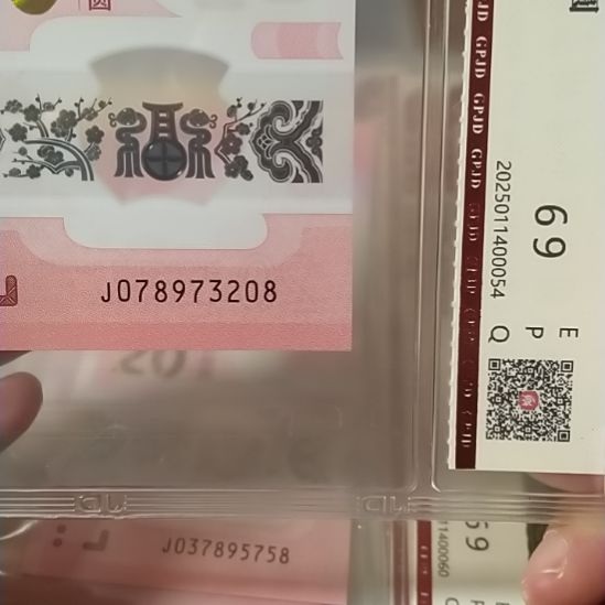 塑料蛇纪念钞 078973208 评级