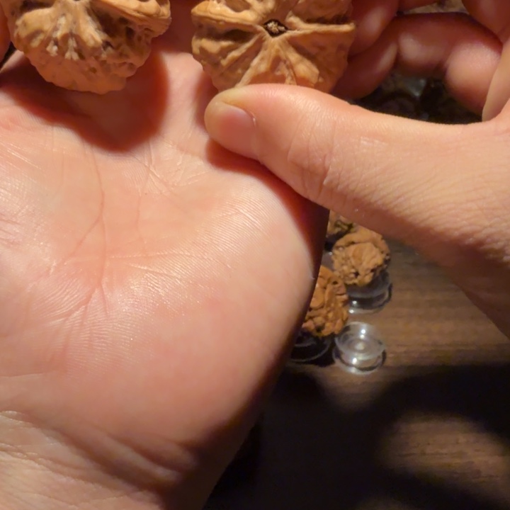 用***8文玩核桃把件蛤蟆的眼睛是真的好看啊我的天啊我