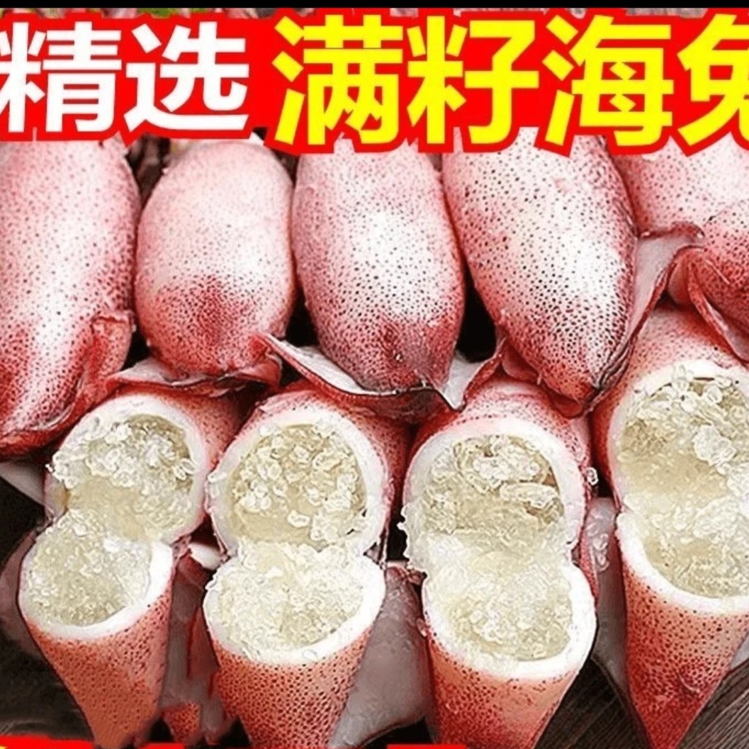 新鲜海捕带籽带膏海兔籽乌30只顺丰冷链包邮