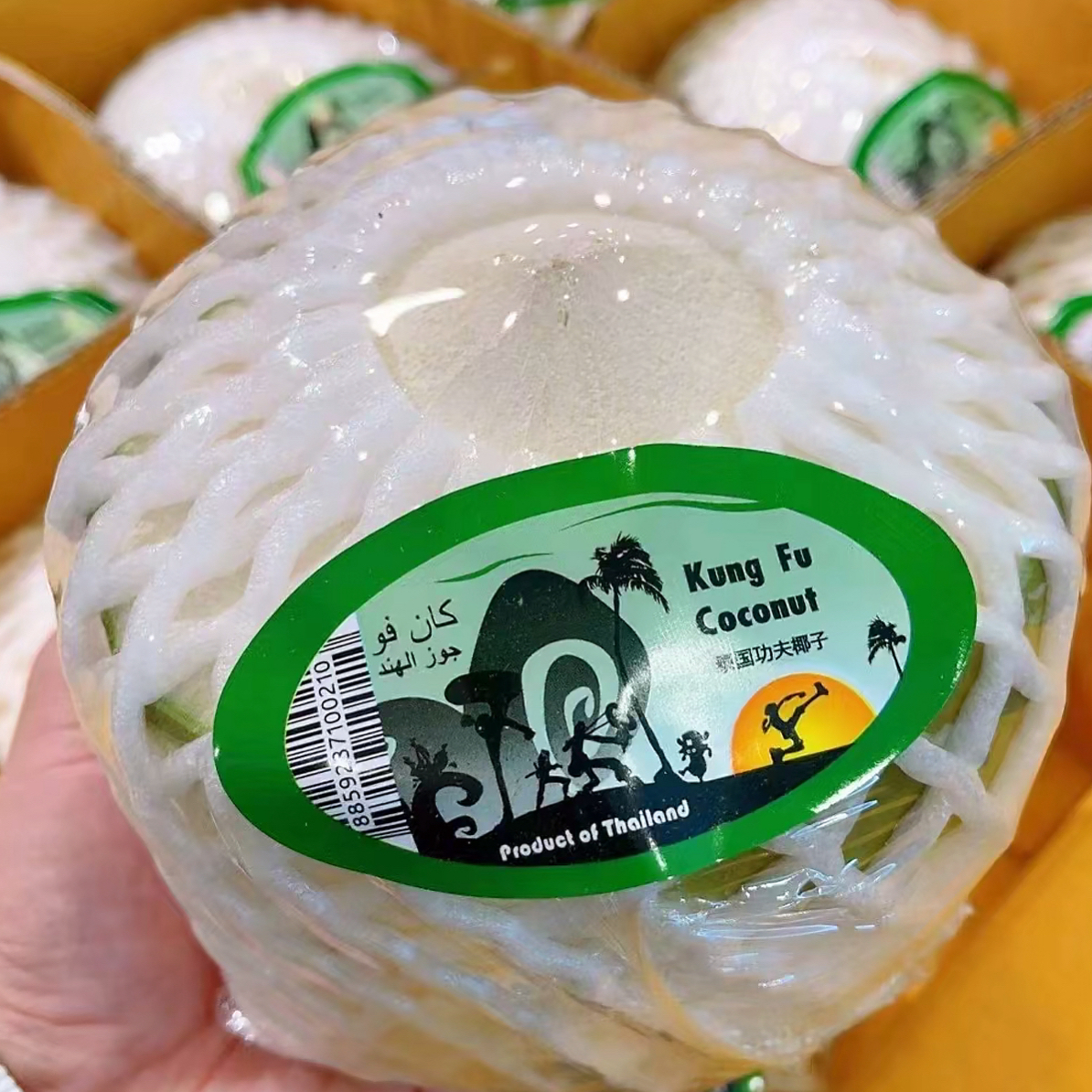 新鲜功夫椰青一个泰国进口