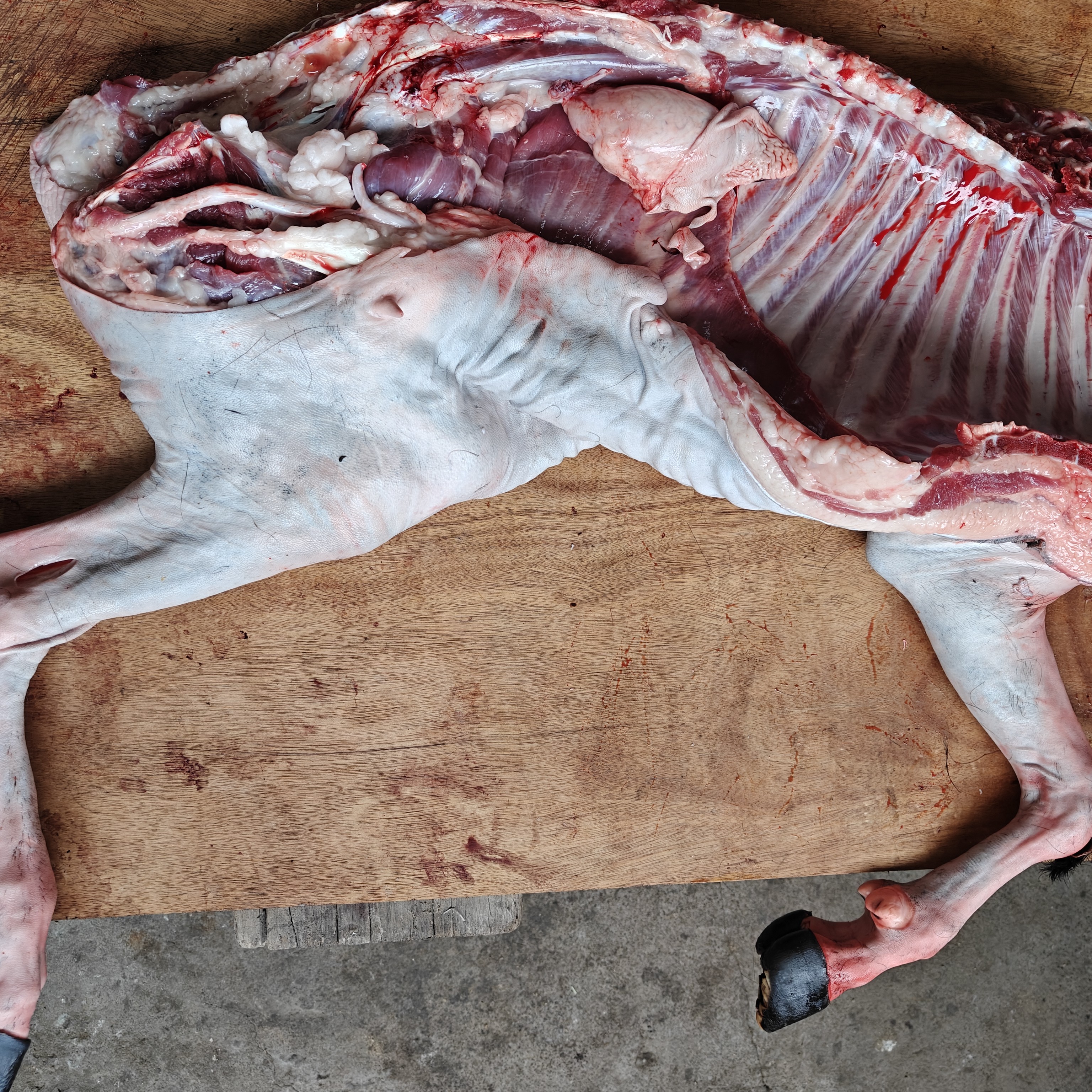 （村干助农）农家新鲜羊肉