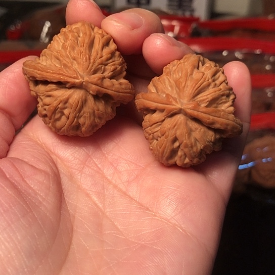 文玩核桃把件白狮子36