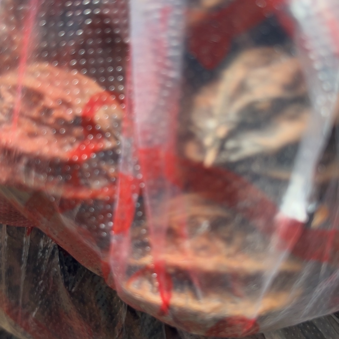 手串文玩核桃仰**空核桃69