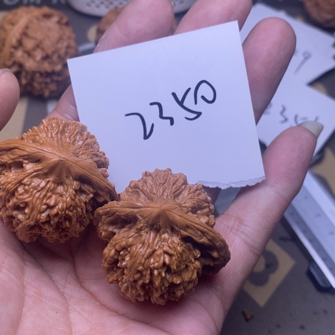 核桃满天星尺寸40