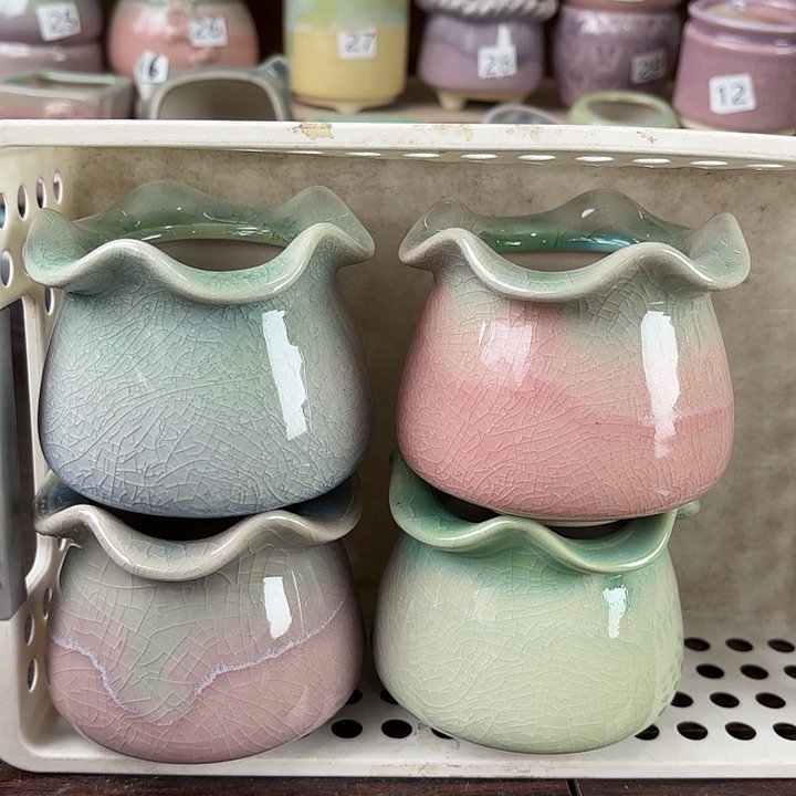 红陶量货/口5.8-8.5高深浅搭配发4个