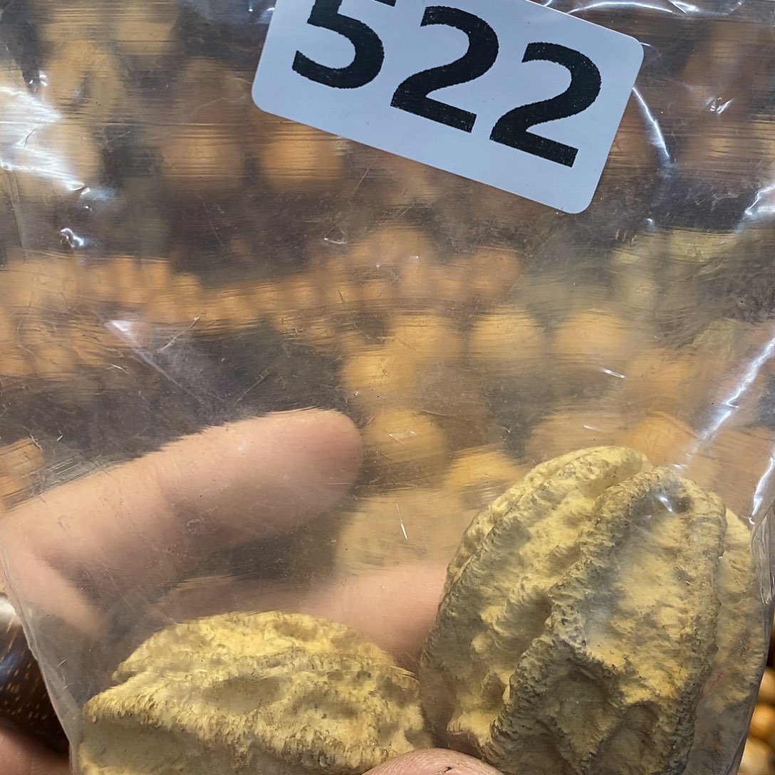 吊坠橄榄核文化交流