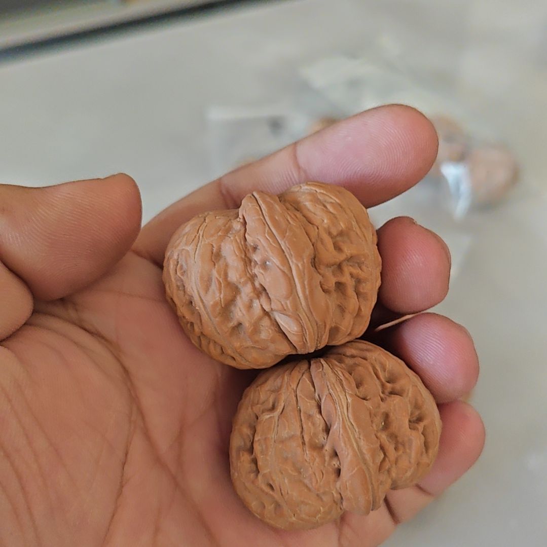 吊坠文玩核桃  全品无瑕疵元宝