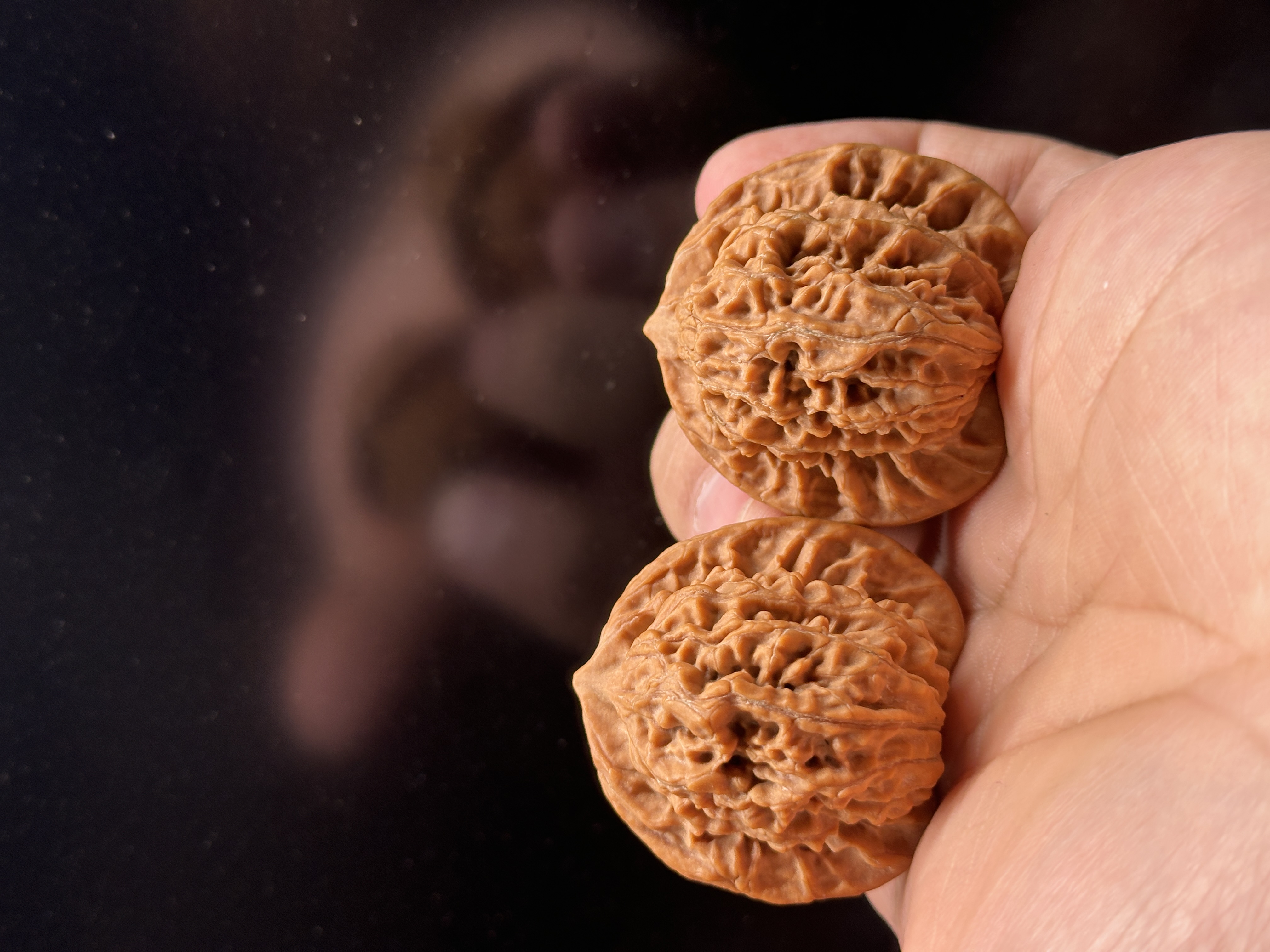 40尺全品桃心桩盘龙纹文玩核桃