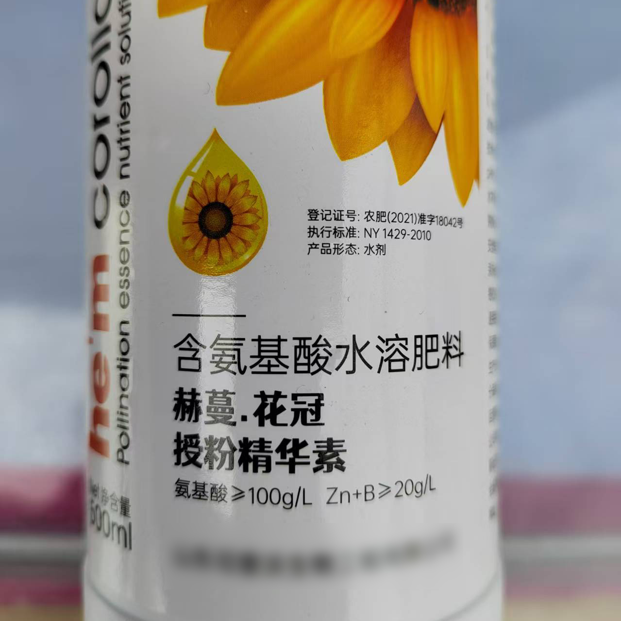 菊花叶面喷施授粉精华素促花防畸型提高人工授粉率(催花催蕾助剂)