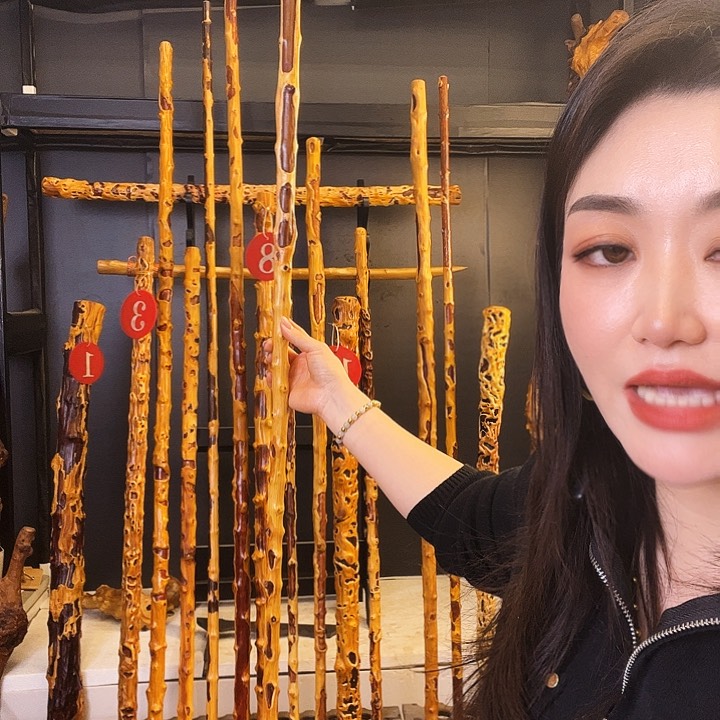 一**龙好好好好好好好好