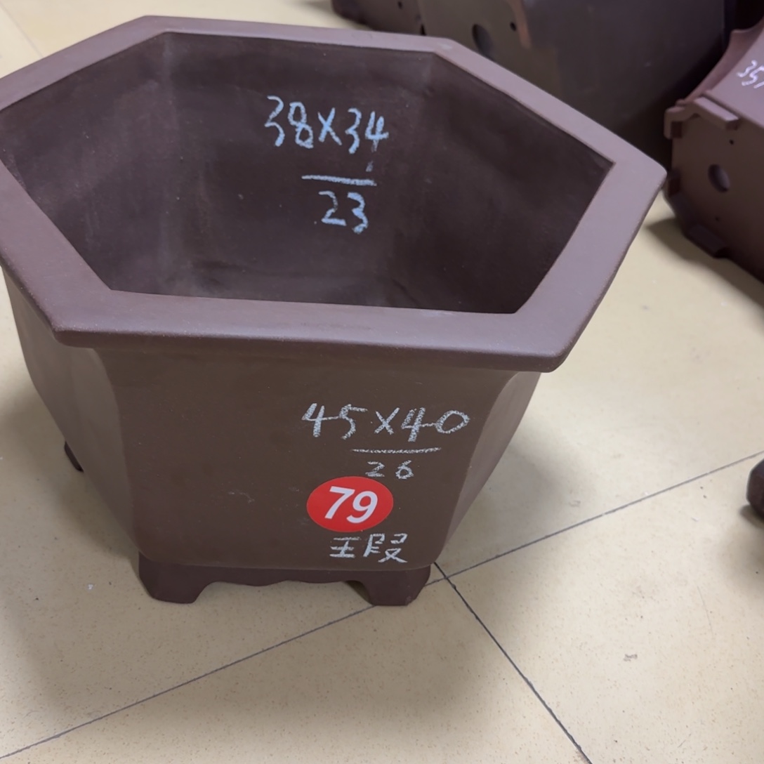 紫砂花盆我呜呜呜呜呜呜