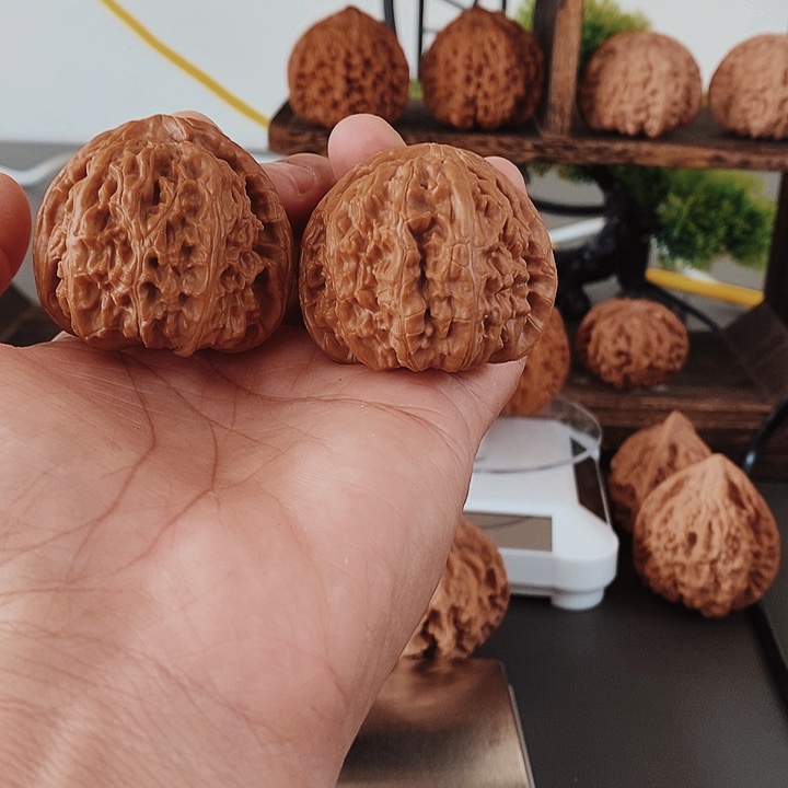45大白狮子红皮花骨质好