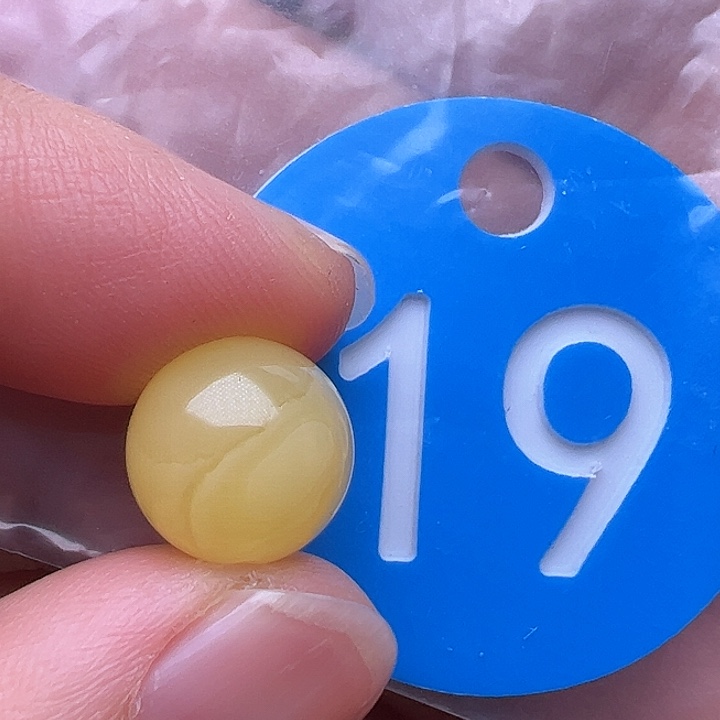 蜜蜡裸石未镶嵌11m m