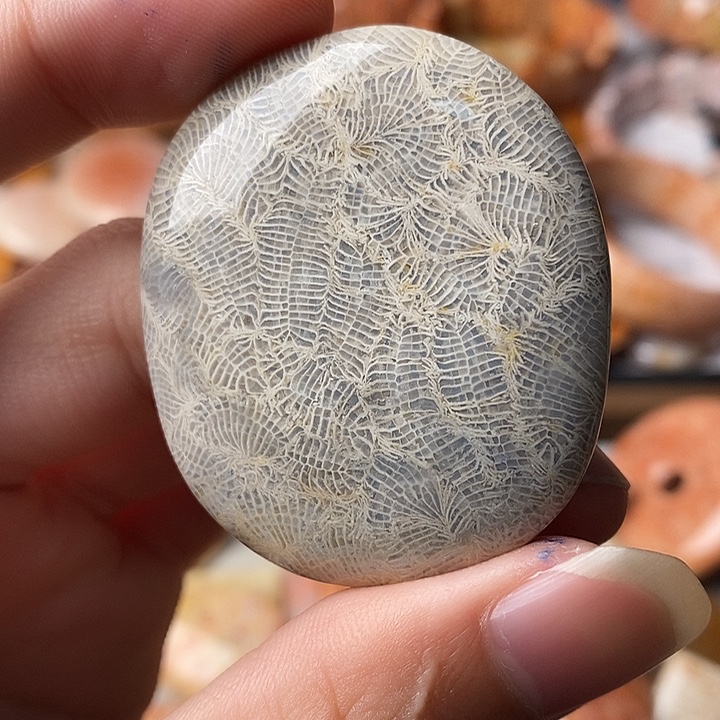 大****硅化珊瑚未镶嵌颈饰