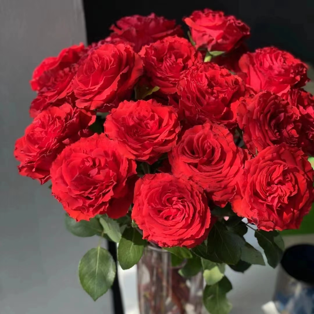 氧花季 珍爱红玫瑰18支+2支防损 收到先醒花 拍2单升级快递