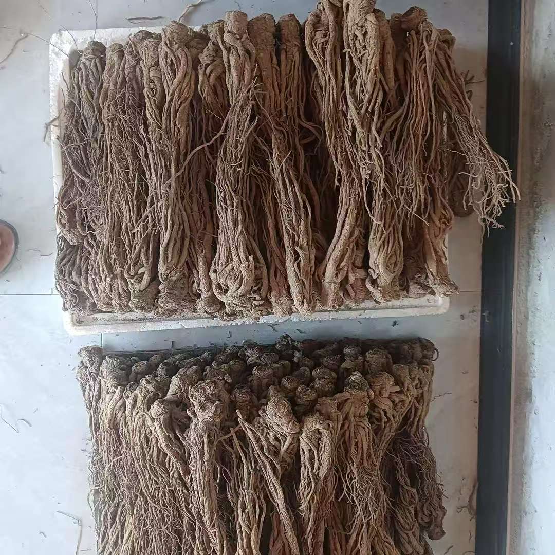 自家种植精选个头整颗当归原条