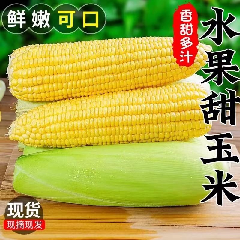 现摘水果甜玉米新鲜超甜可生吃爆浆黄金水果玉米带皮苞米整箱GK