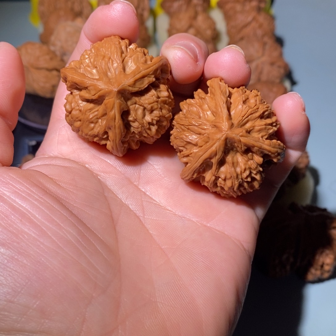 文玩核桃把件基****有40三楞