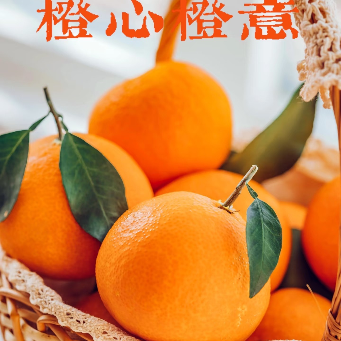 新鲜爱媛果冻橙 可以吸着吃的橙子 应季现摘四川省