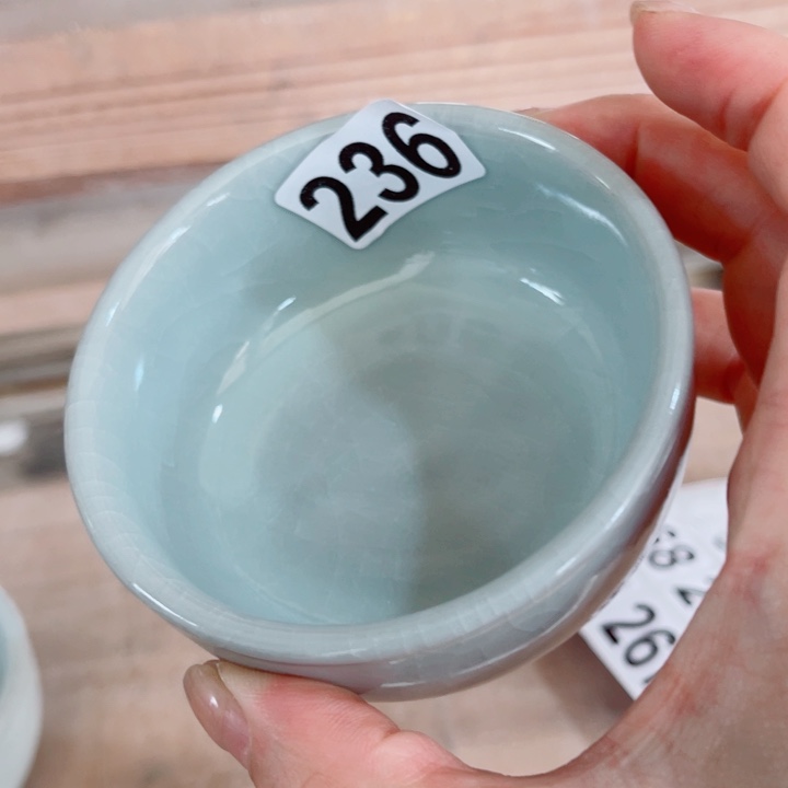 元***猫其他哈哈哈哈哈哈哈哈哈哈