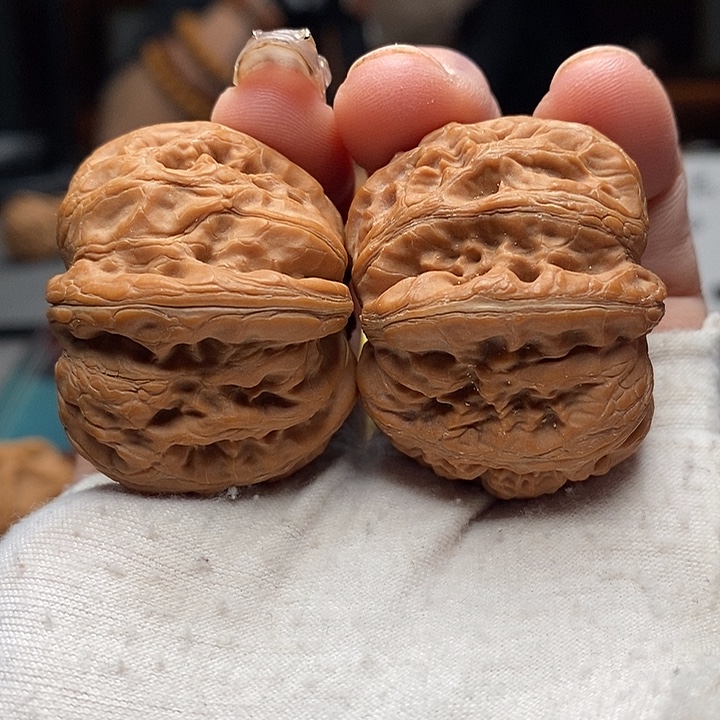 核桃6号 39尺平谷元宝 全品 红皮