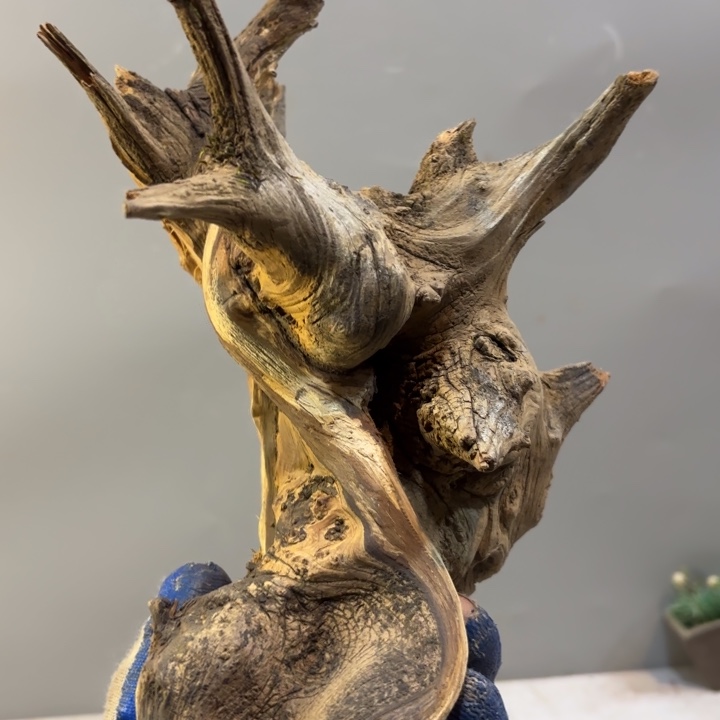 碧***月崖柏双色纹理坨坨