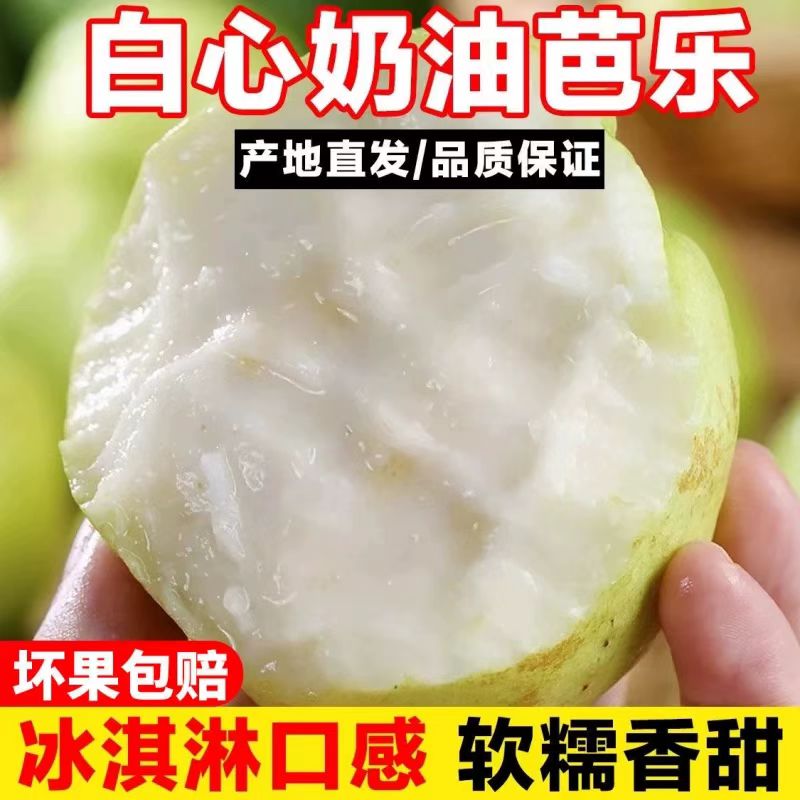 【香甜白果】广西软心白心番石榴新鲜水果奶油软芭乐双层保温发货