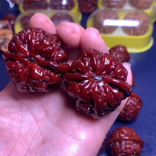 文玩核桃把件44大粗筋