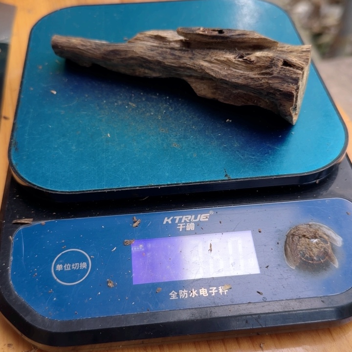 沉香碎屑沉香白棋楠沉香老树虫漏36克