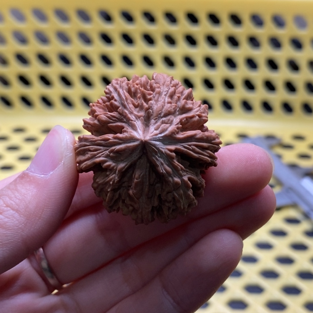 飞***觉核桃定制商品不退不换