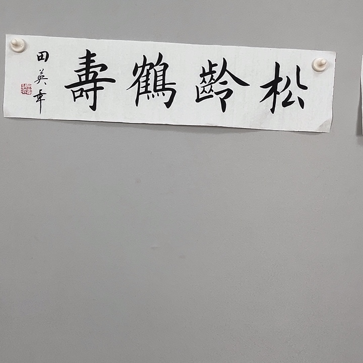 书法田老师书法作品111 